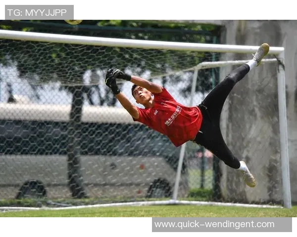 恒大足球发展历程回顾与未来展望:从崛起到挑战的传奇之路